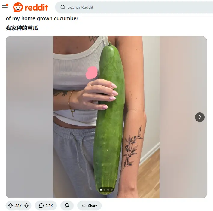 Reddit是什么,如何在中国大陆访问Reddit? 1 reddit官网